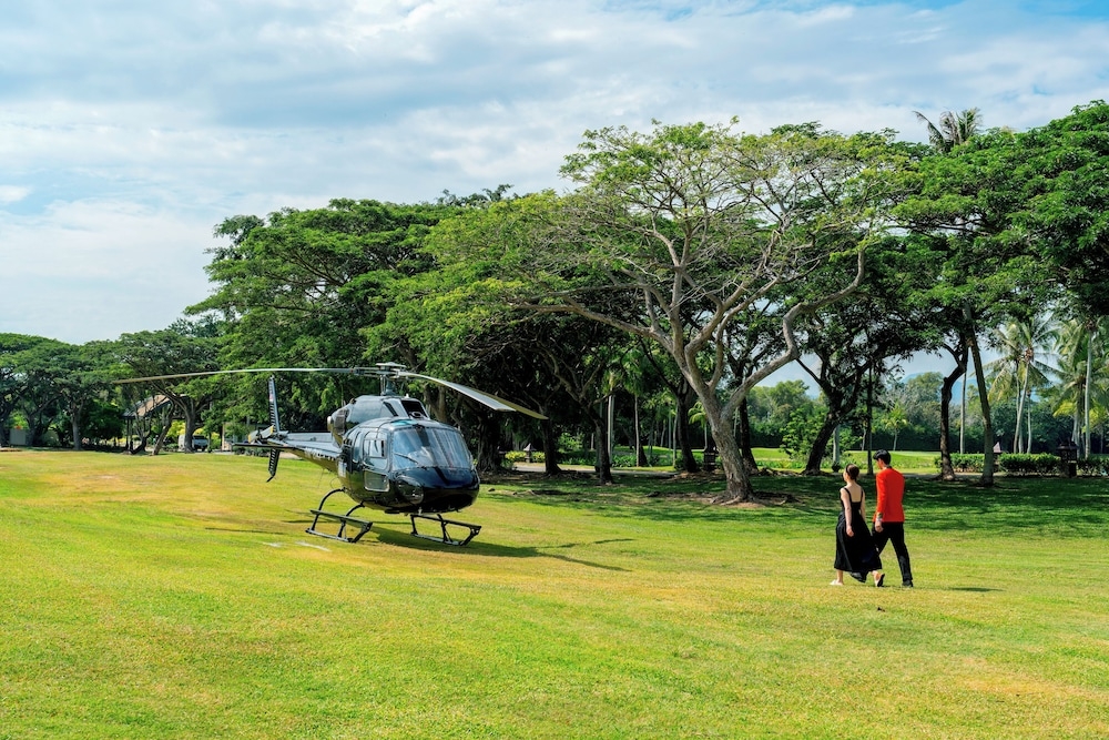 ヘリコプター / 飛行機ツアー
