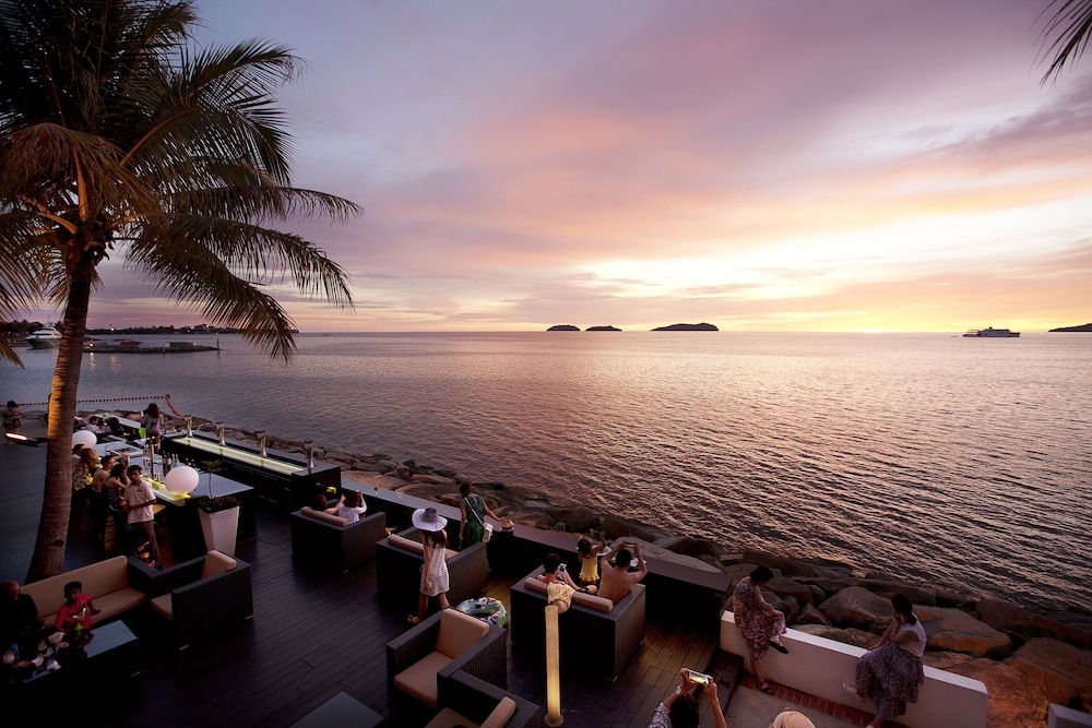 バーベキュー / ピクニック エリア