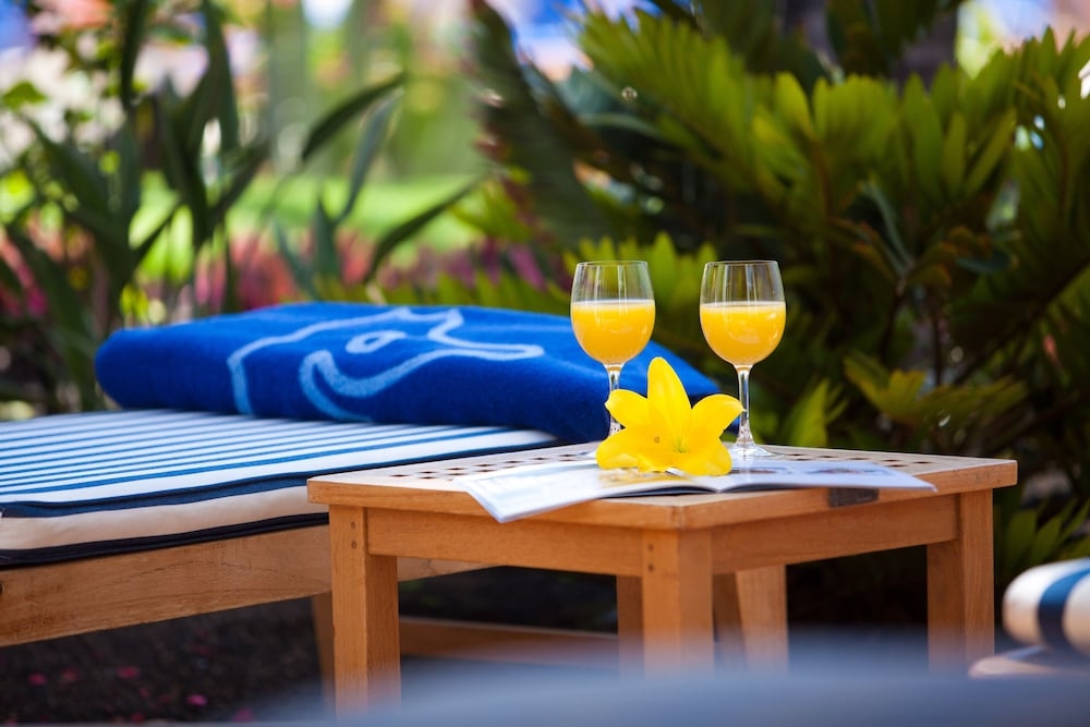 テラス / パティオ