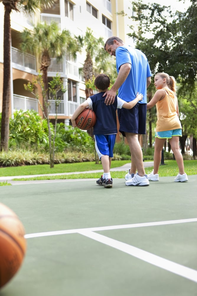 バスケットボール コート