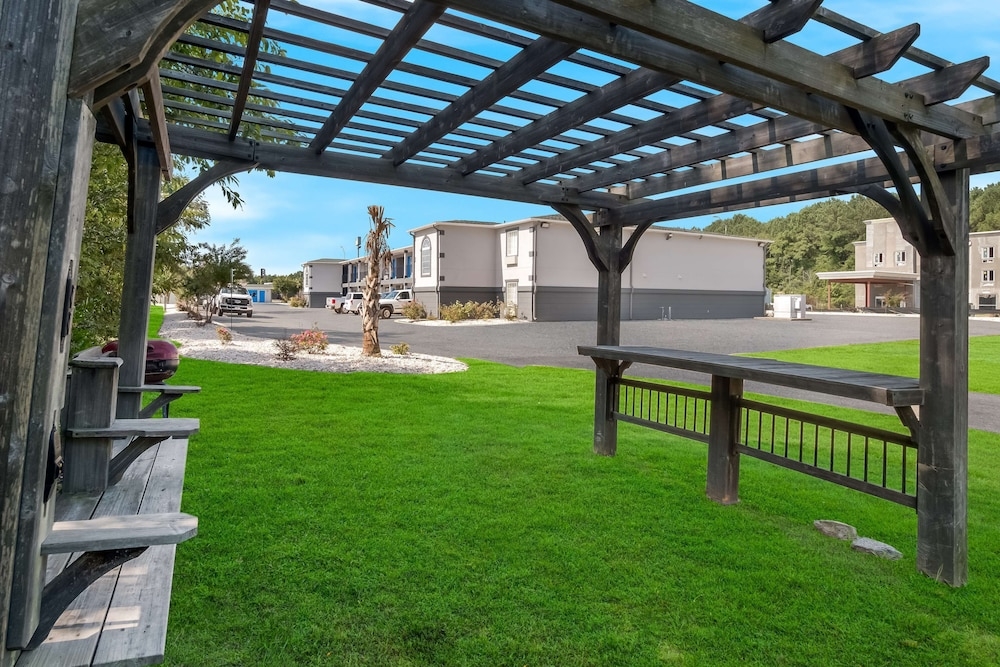 バーベキュー / ピクニック エリア