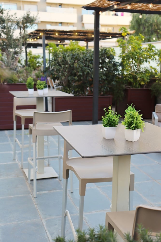 テラス / パティオ