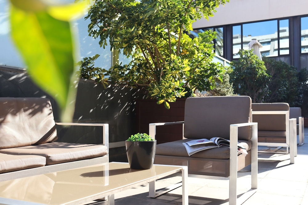 テラス / パティオ