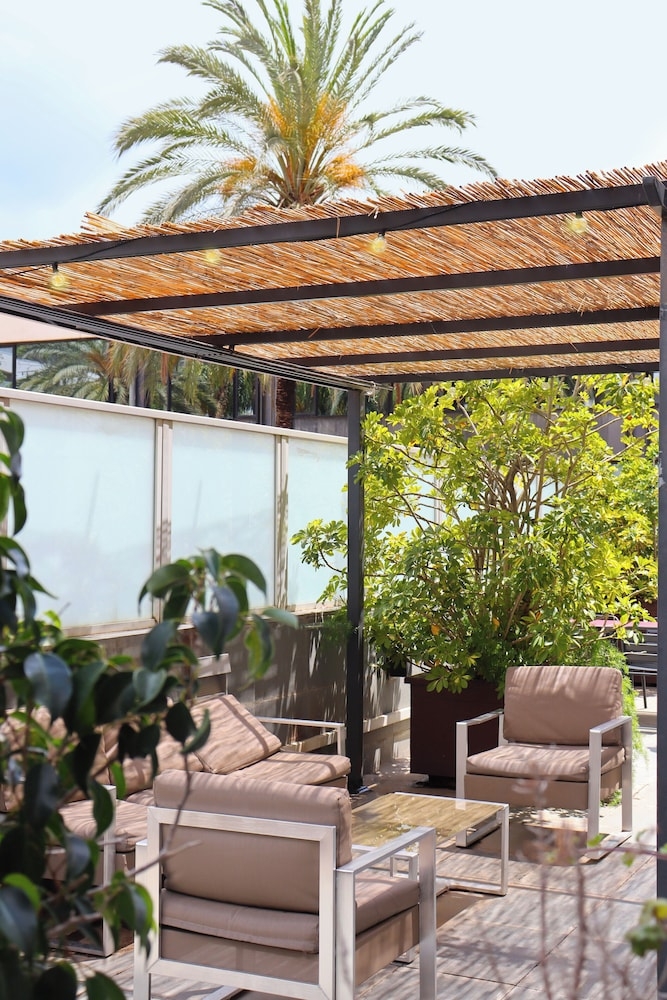 テラス / パティオ