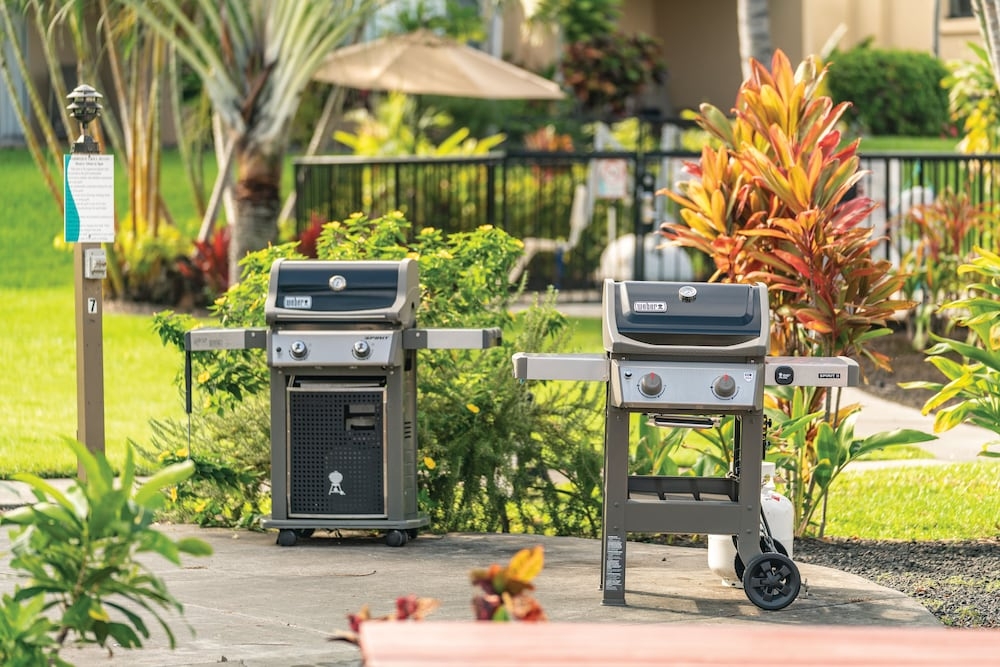 バーベキュー / ピクニック エリア