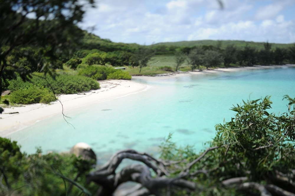 ビーチ / オーシャン ビュー