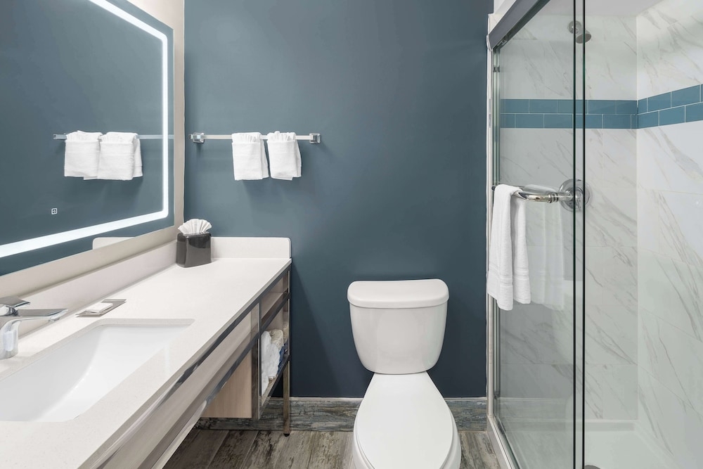 バスルームのシャワー