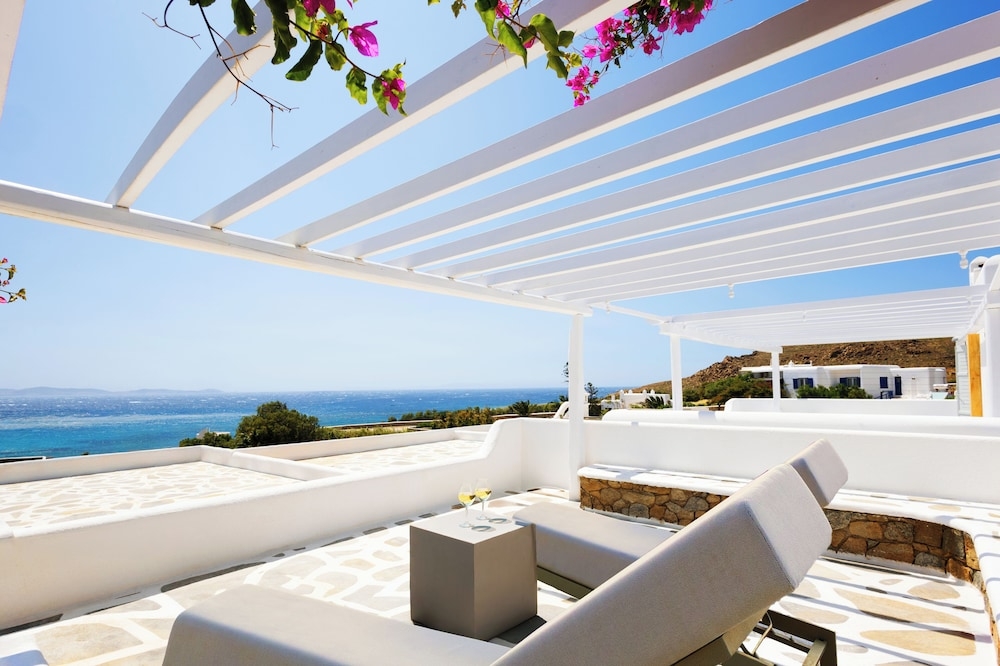 テラス / パティオ