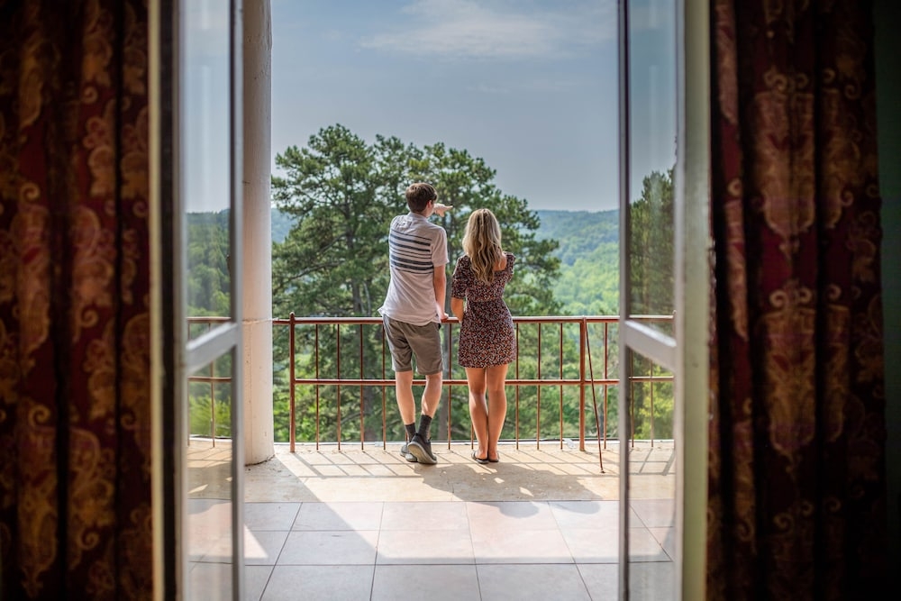 テラス / パティオ