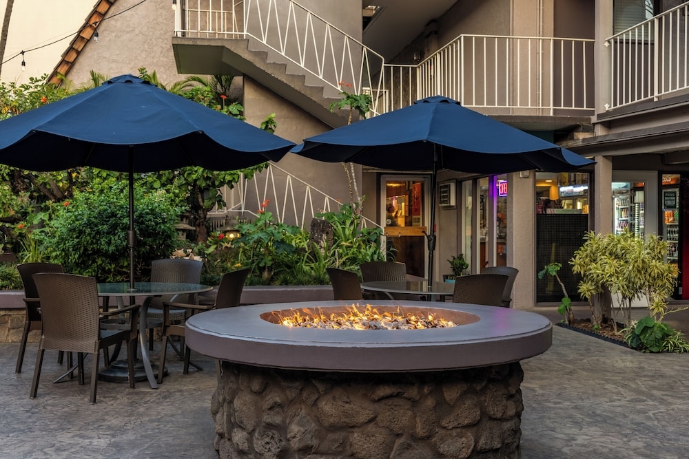 テラス / パティオ