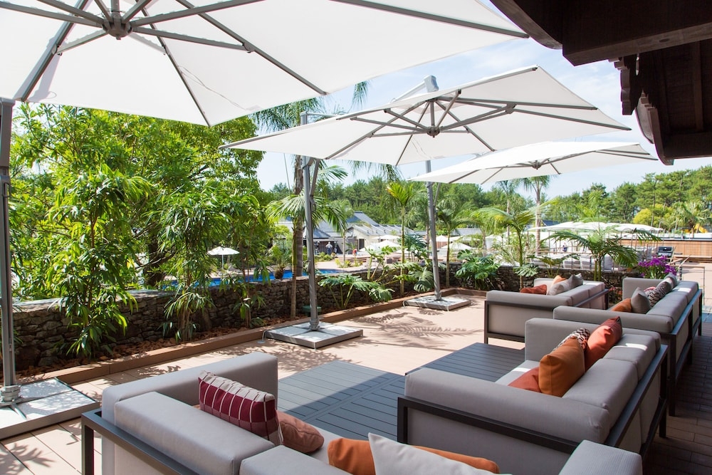 テラス / パティオ