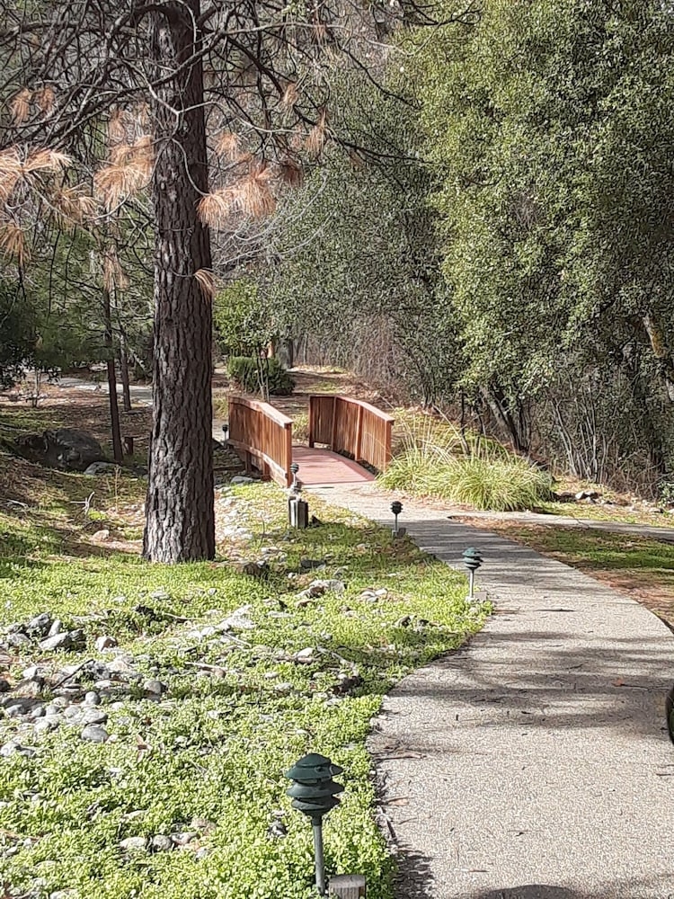 バーベキュー / ピクニック エリア