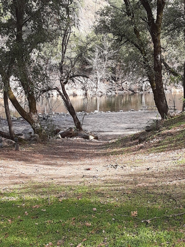 バーベキュー / ピクニック エリア