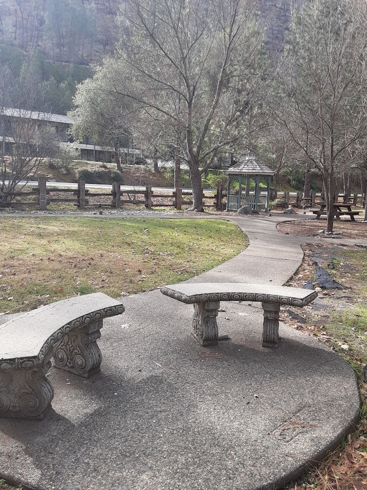 バーベキュー / ピクニック エリア