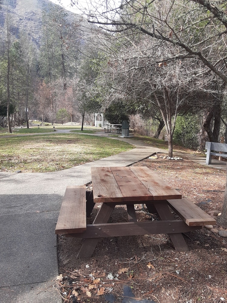 バーベキュー / ピクニック エリア