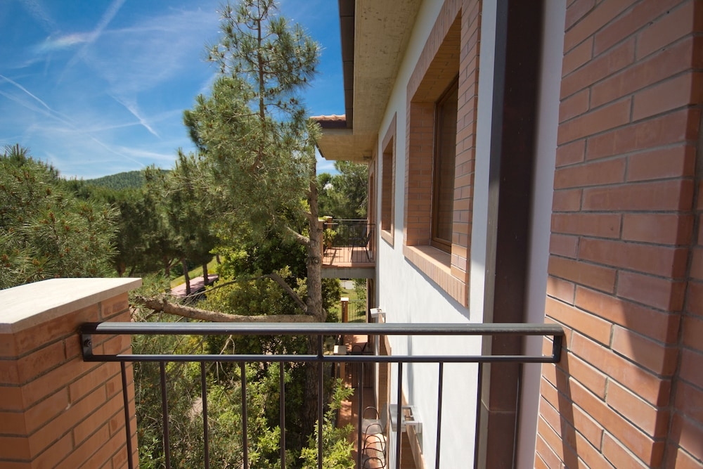 施設からの眺望