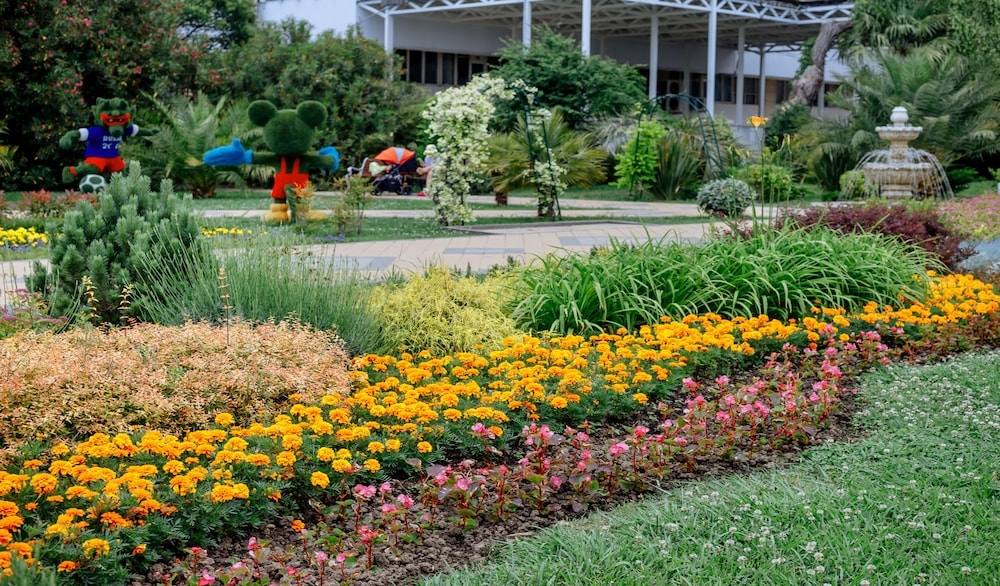 テラス / パティオ