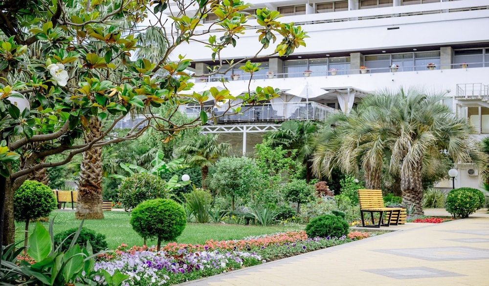 テラス / パティオ