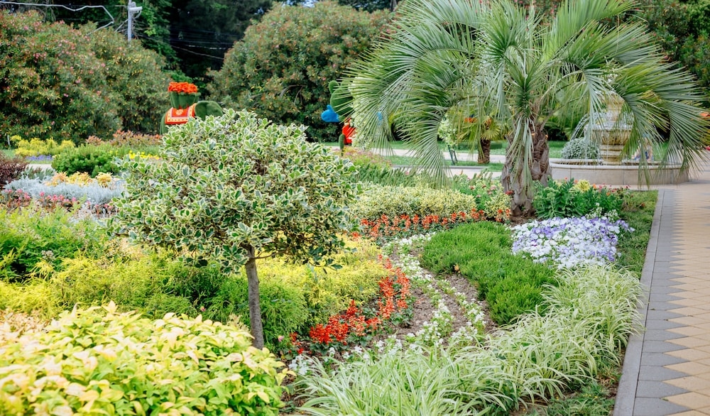 テラス / パティオ