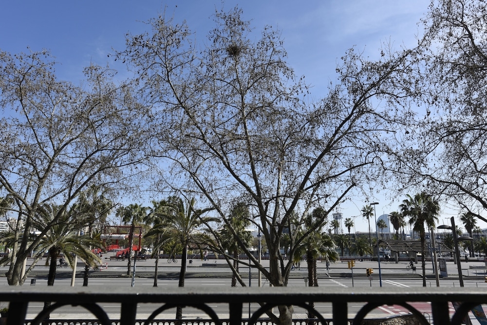 バルコニーからの眺望