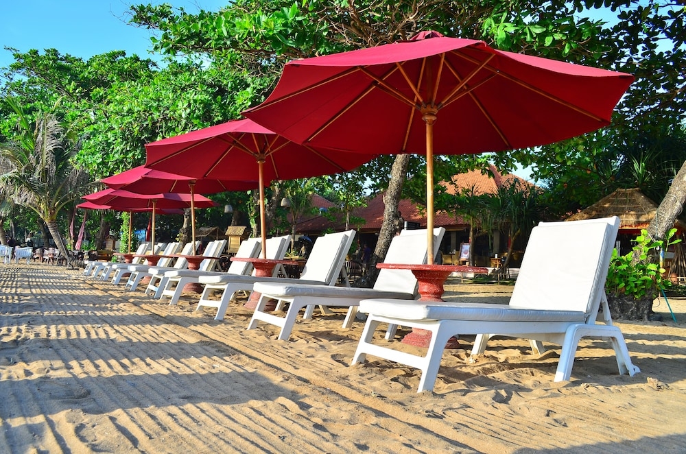 施設からの眺望