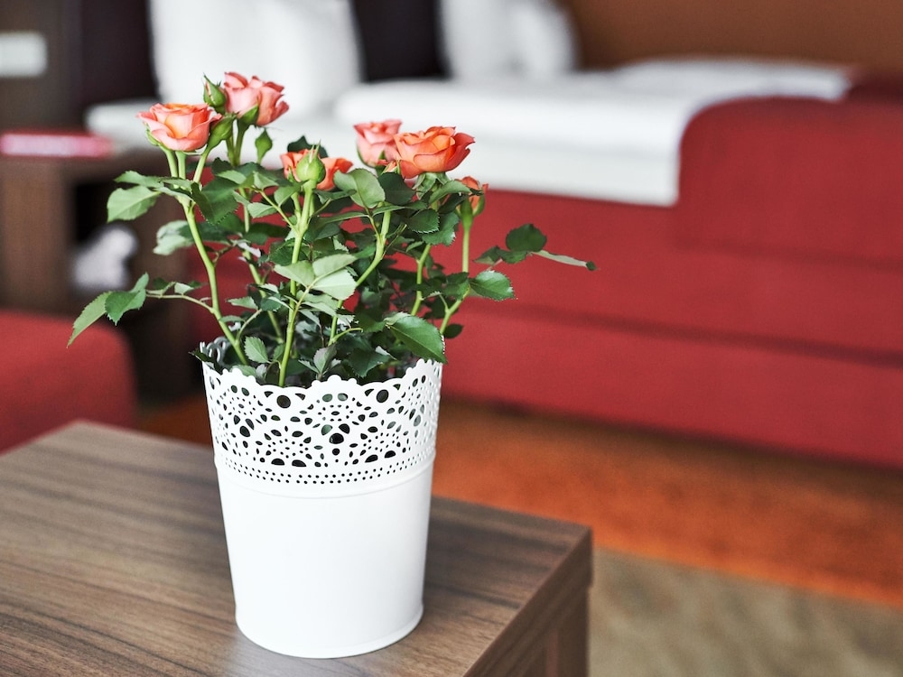 客室の設備とサービス