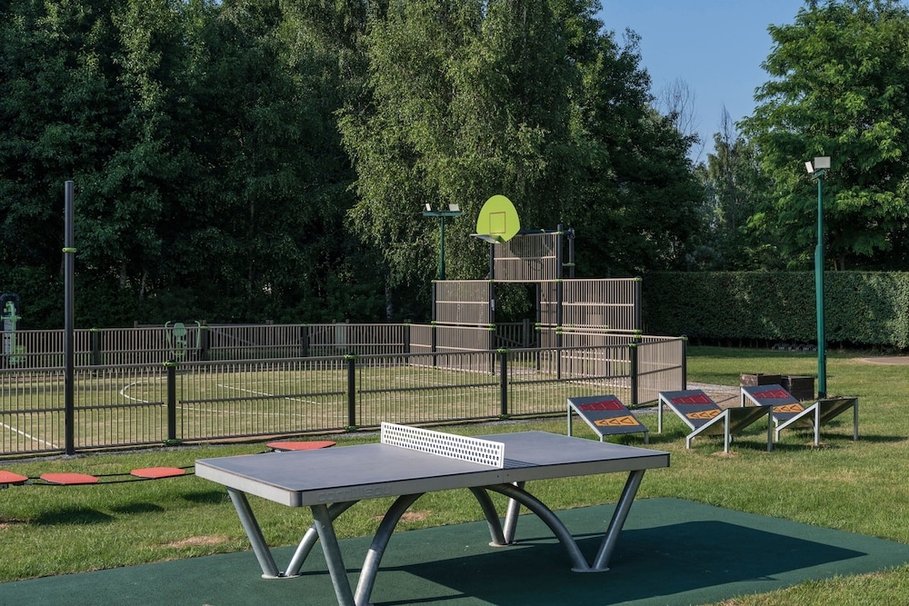 バスケットボール コート