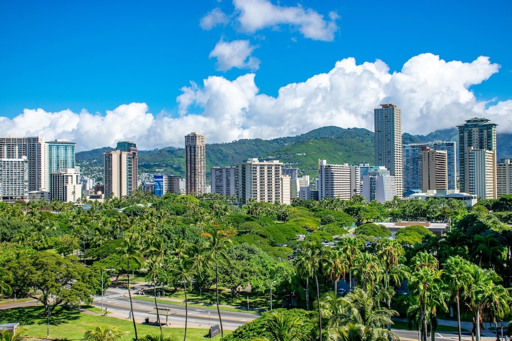 部屋からの景観