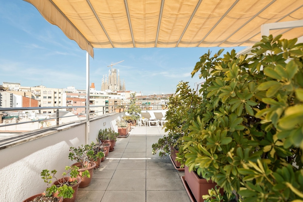 テラス / パティオ