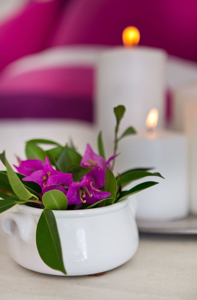 客室の設備とサービス