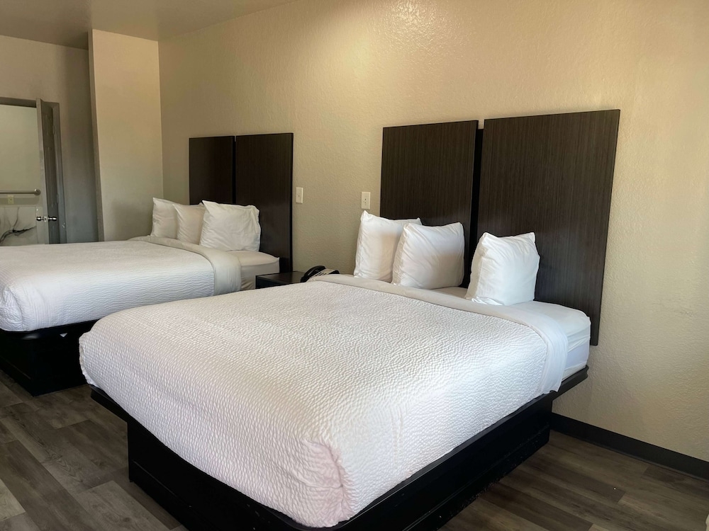 フィットネス設備