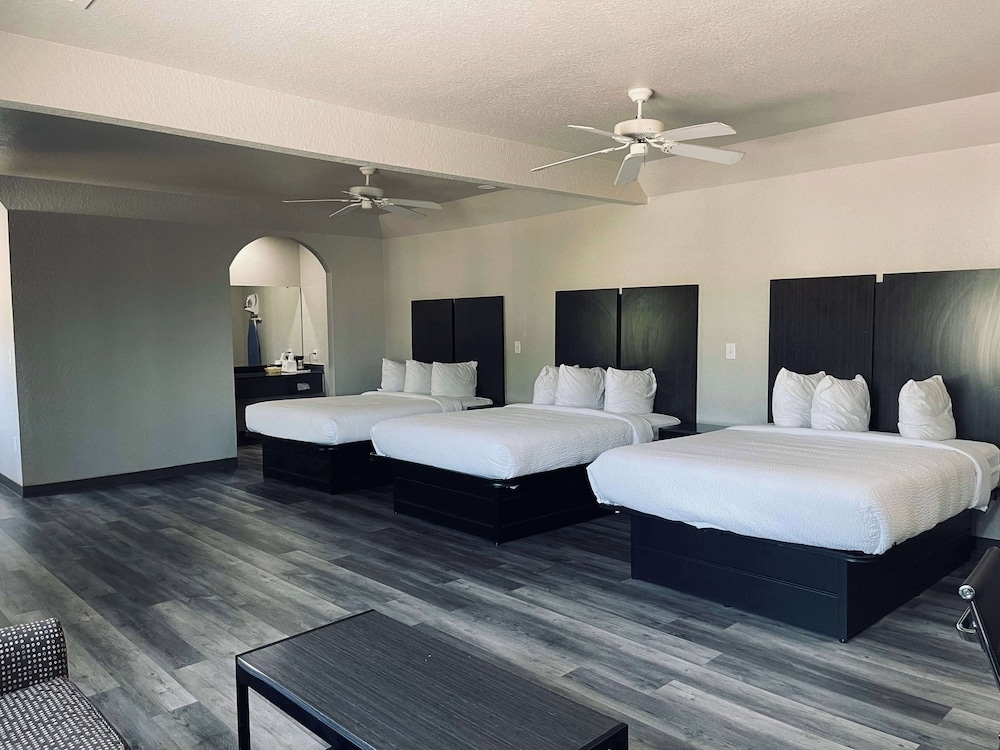 フィットネス設備