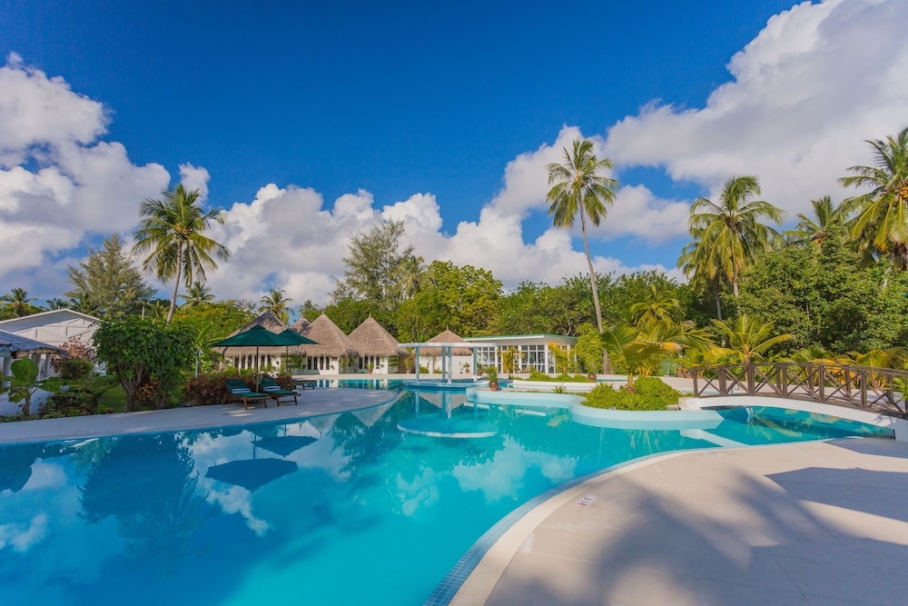 メイン イメージ