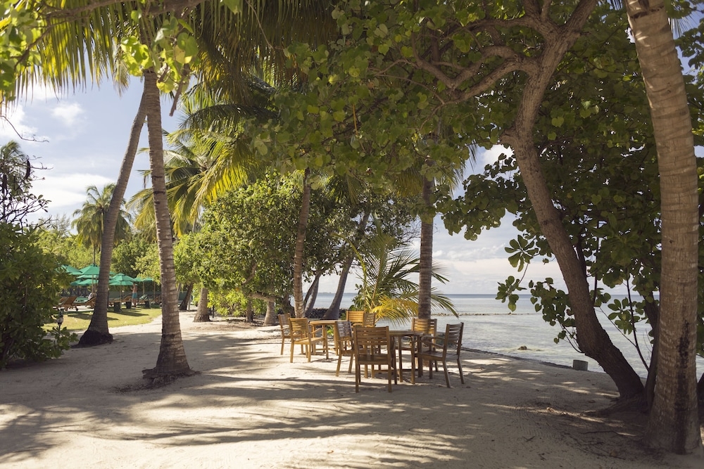 バーベキュー / ピクニック エリア