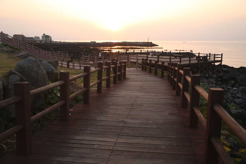 施設からの眺望