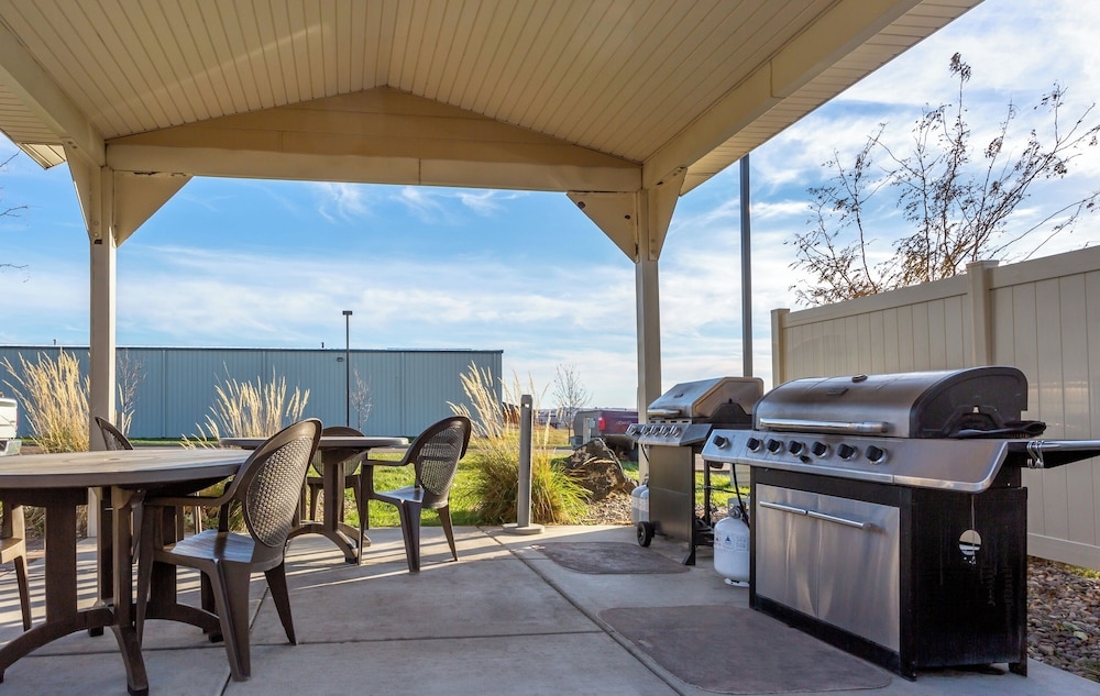 バーベキュー / ピクニック エリア