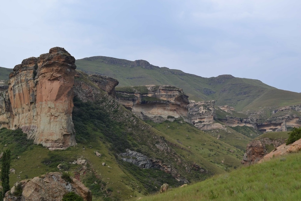 マウンテン ビュー