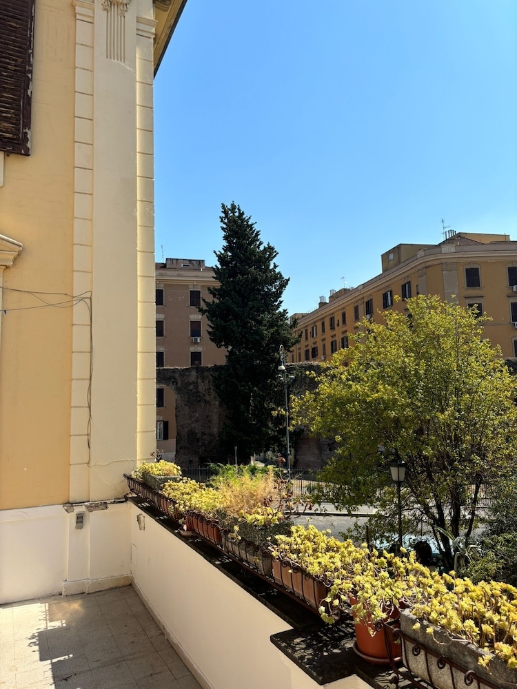 テラス / パティオ