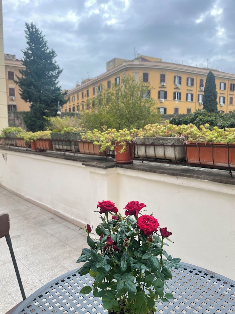 テラス / パティオ