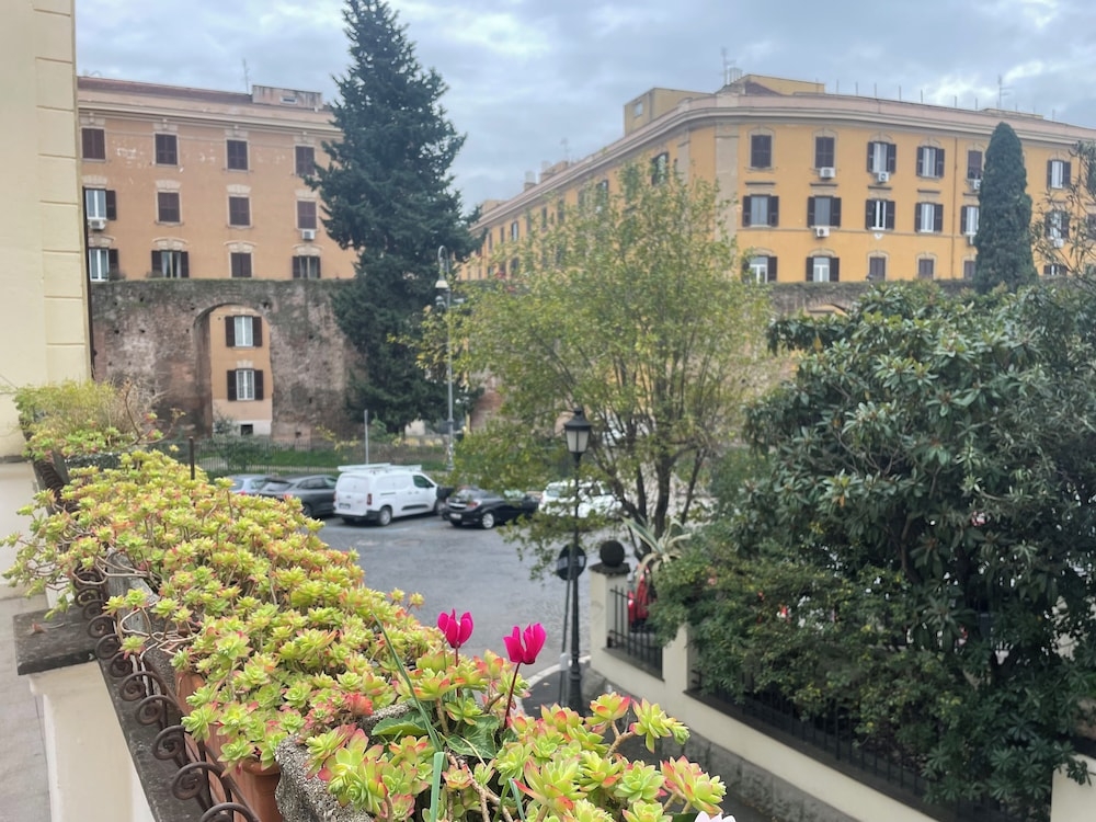 テラス / パティオ