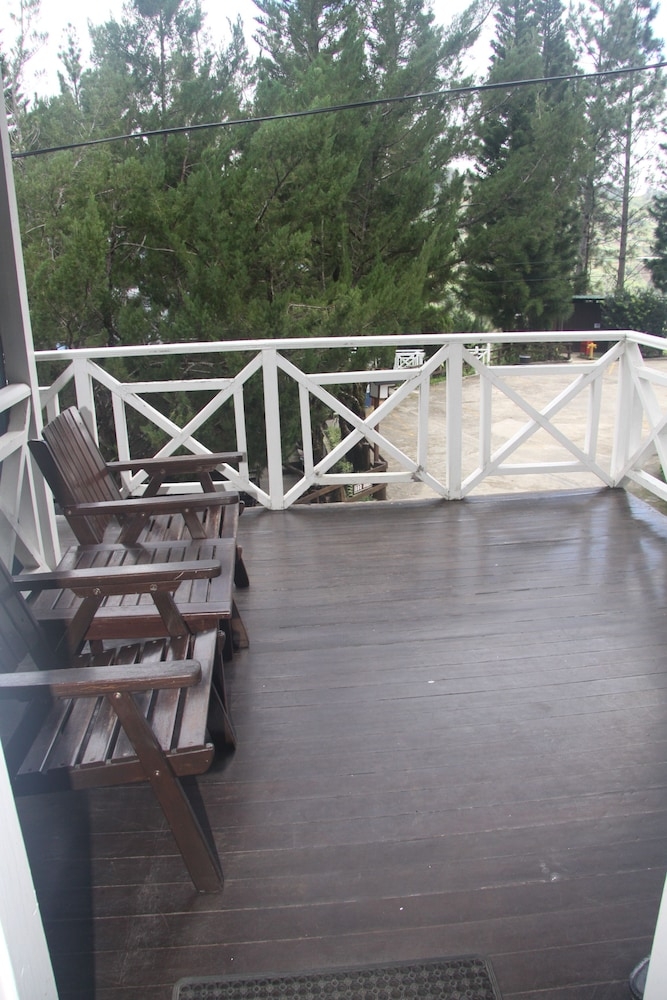 テラス / パティオ