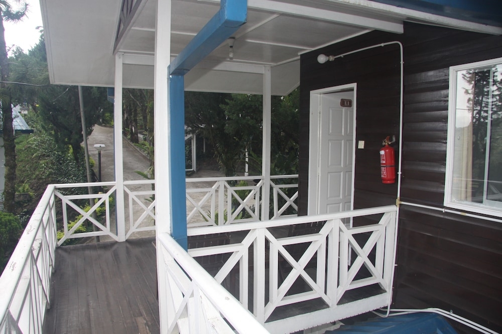 テラス / パティオ