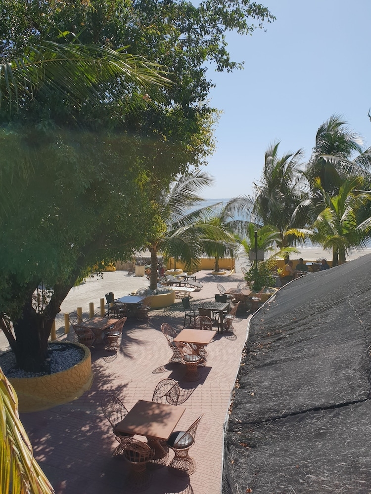 ビーチ / オーシャン ビュー