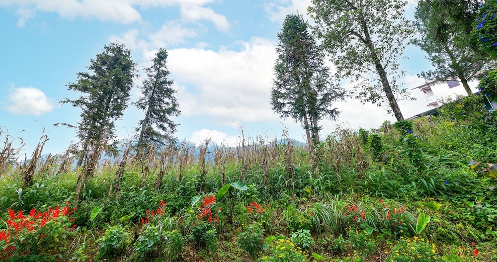 施設からの眺望