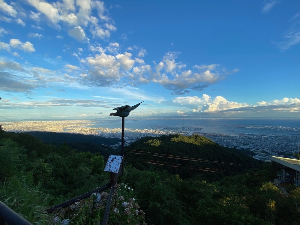 施設からの眺望