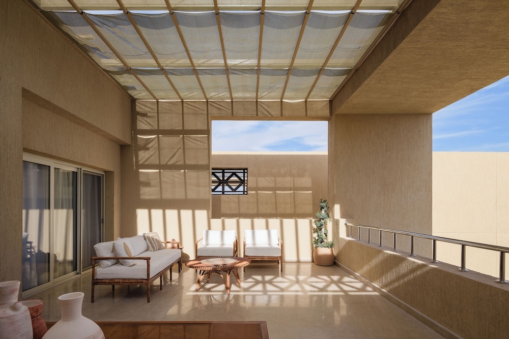 テラス / パティオ