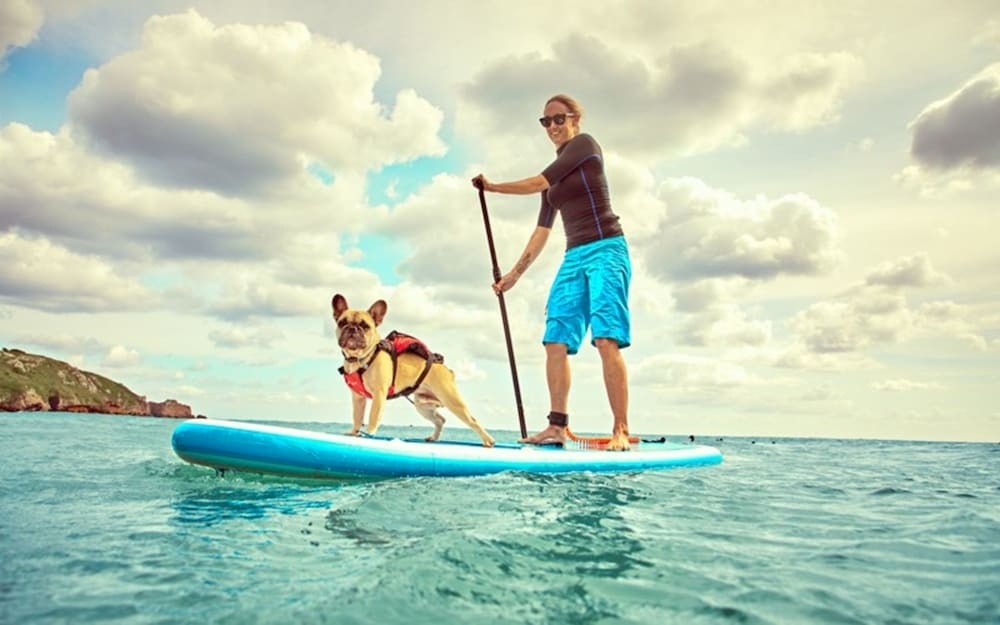 サーフィン / ボディボード