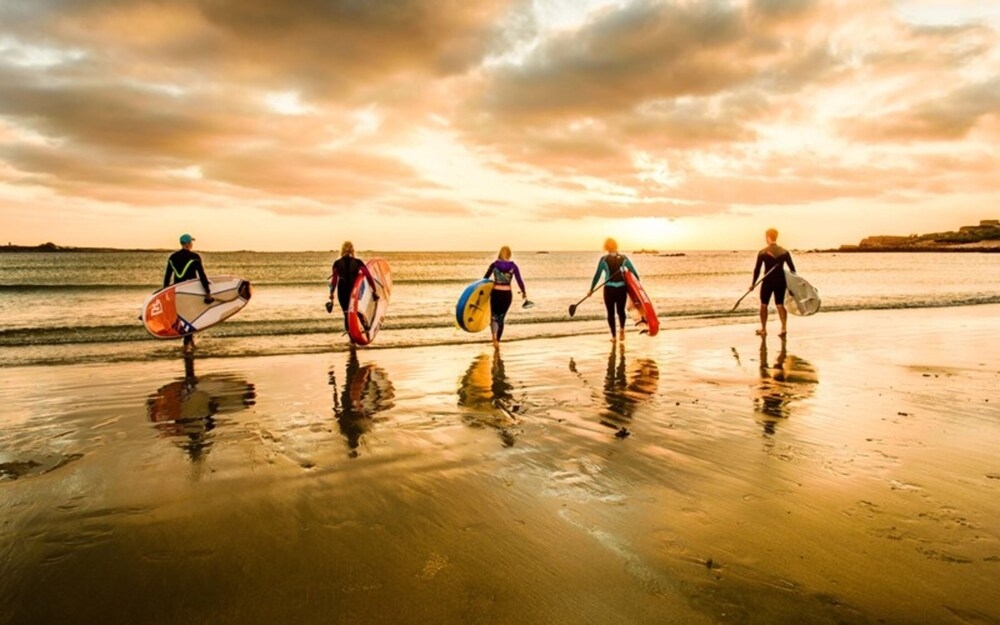 サーフィン / ボディボード