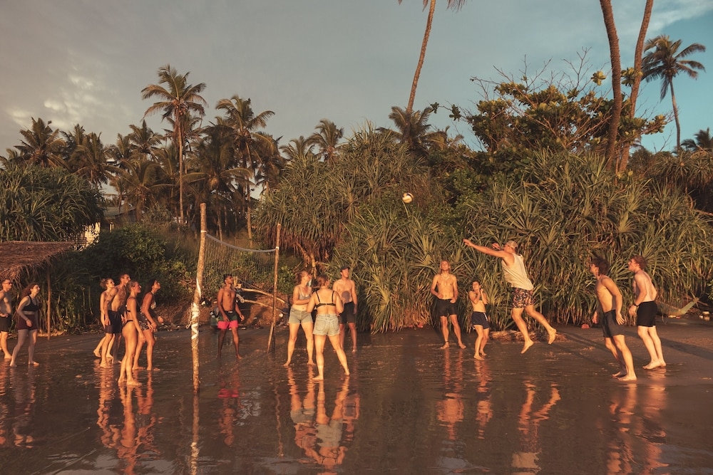 ゲーム ビューイング