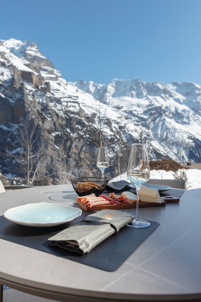 テラス / パティオ